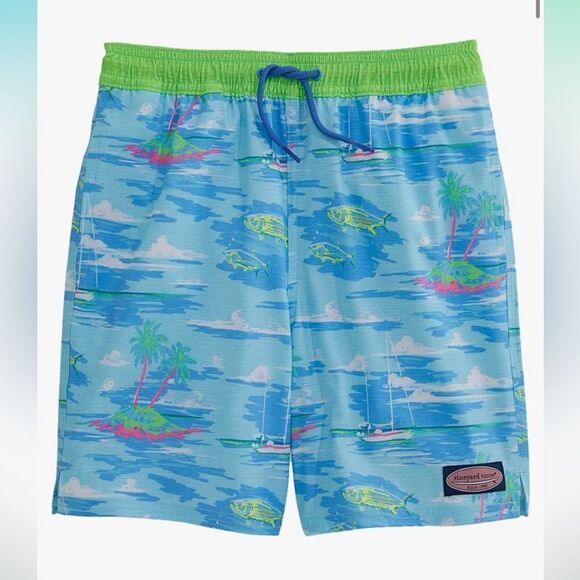 Vineyard Vines Boys Chappy Drawstring Swim Trunks With Stretch, XL, Like New - Picture 1 of 9
